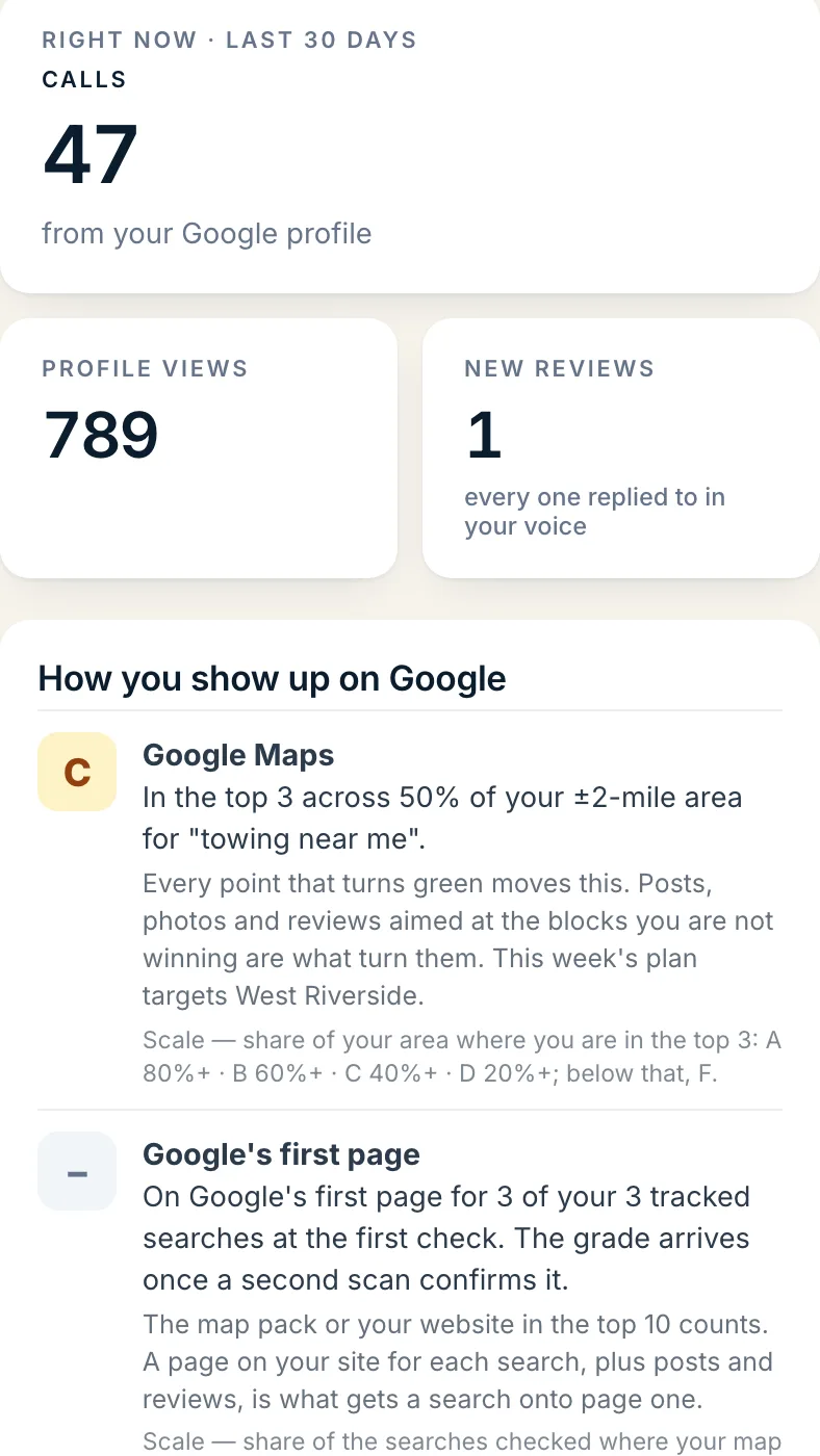 The dashboard home: calls, views and reviews for the last 30 days, month by month